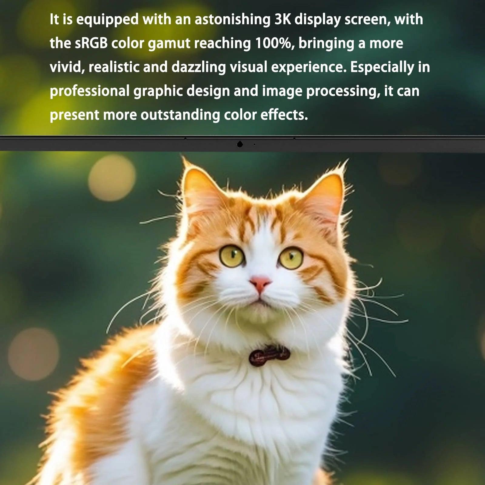 Morostron 13.5 Inch Laptop N95 Win 11 Touch Screen backlit keyboard Laptop - Morostron